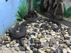 -石家庄市动物园