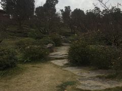 -秀丽东方