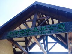-上海海湾国家森林公园