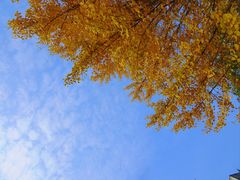 -辽宁大学(崇山校区)