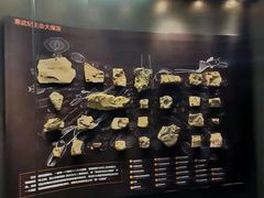 -贝林大翅鲸简餐厅(国家海洋博物馆店)