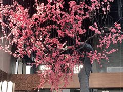 -大渔·观筵(三里屯太古里店)