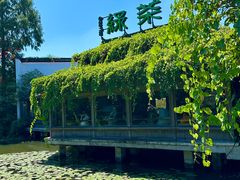 -绿茶餐厅(龙井船宴· 品牌总店)