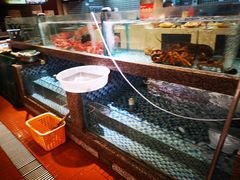 水产区-锦昌酒楼(即墨店)