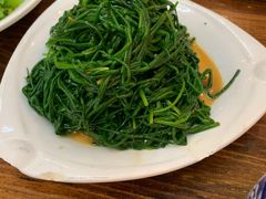 -苗氏卷子鸡(张掖金鸿大厦店)