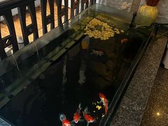 -樱蘭全息养生馆(三里屯店)