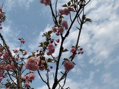 -南丹山森林王国