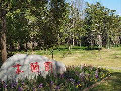 -上海滨江森林公园