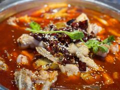 -十二点·辣椒炒肉(南山店)