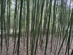 -竹泉村旅游度假区