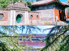 -北京艺术博物馆(万寿寺)