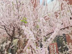 -中国政法大学(昌平校区)