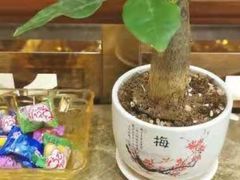 -金时代顺风大酒店(协泰店)