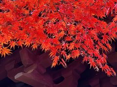 -慧因高丽寺
