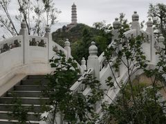 -北坞公园