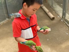 -呀路古热带植物园