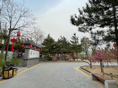 -大连步云山老汤度假山庄