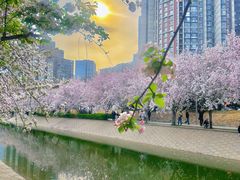 -海棠花溪(元大都城垣遗址公园)