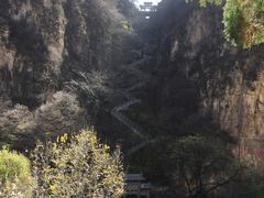 -藏山旅游风景区