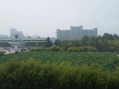 荷花池-日照职业技术学院