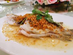 -黄埔华苑酒家(黄埔店)