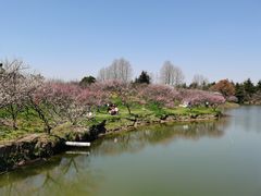 -上海海湾国家森林公园