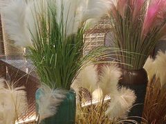-百草滩羊清水涮羊肉·清真·宁夏盐池滩羊(莲花桥店)