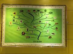 -上海昆虫博物馆