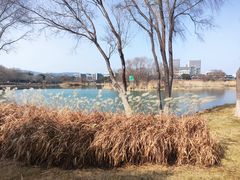 -长广溪湿地公园