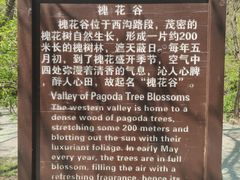 -金龙寺国家森林公园