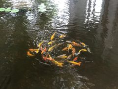 -鼓浪屿钢琴博物馆