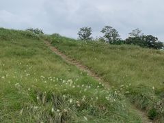 -白鹭湾湿地公园