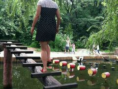 android_upload_pic-沈阳植物园