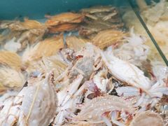 -港畔赶海蒸汽海鲜烧烤自助(仙螺岛店)
