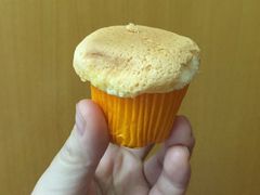 -华丰贺氏(营迹店)