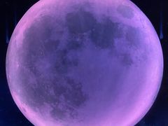 -梵高星空艺术馆(北京旗舰店)
