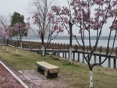 -艾溪湖湿地公园