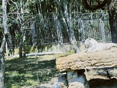 -上海野生动物园