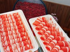 -渝大龙重庆火锅(温泉月亮湾店)