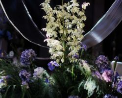 -天邑国际酒店·宴会厅