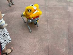 -海合安成都极地海洋公园