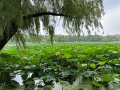 -长春市南湖公园