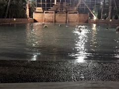 -龙达温泉生态城