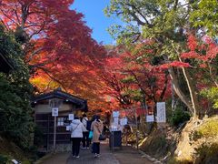-常寂光寺