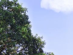 -火炉山森林公园