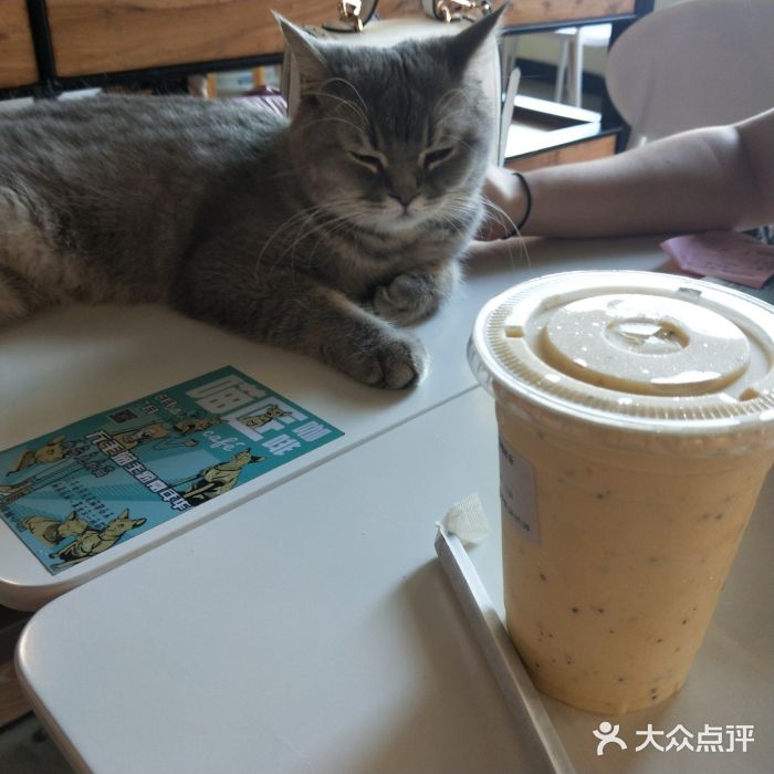 喵匠猫主题咖啡(凯德和平广场店)图片
