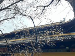 -西园戒幢律寺