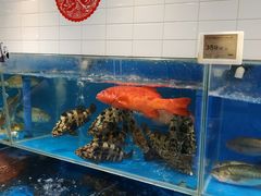 水产区-T11生鲜超市(朝阳公园店)