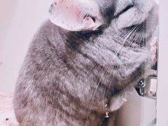 -龙猫仔乐园(惠福东路店)