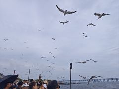 -星海广场